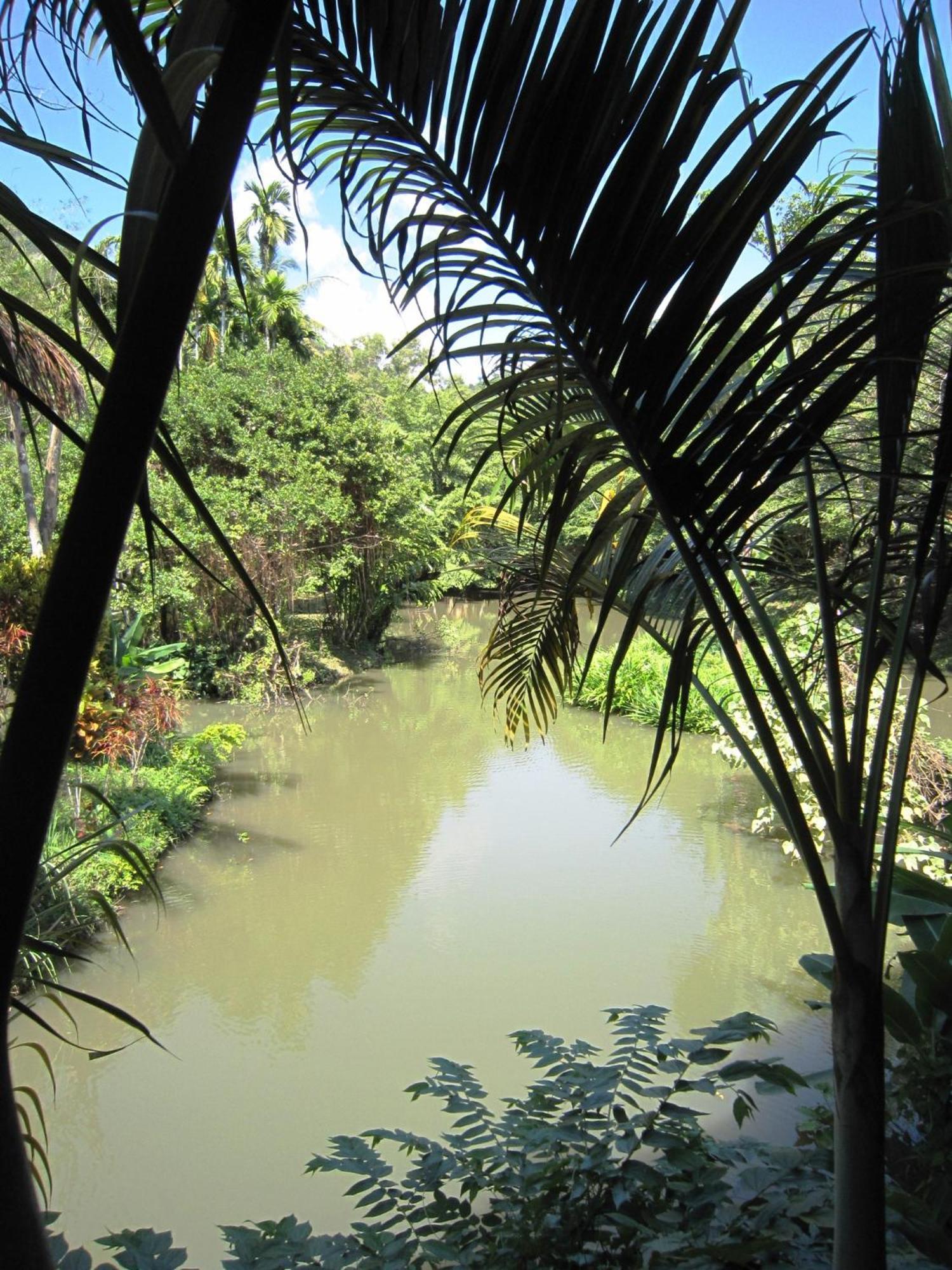 Phanom Bencha Mountain Resort Krabi town Exterior foto