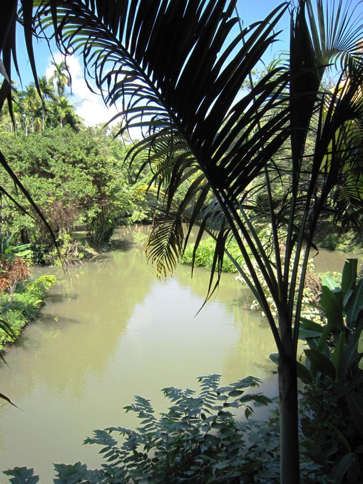 Phanom Bencha Mountain Resort Krabi town Exterior foto