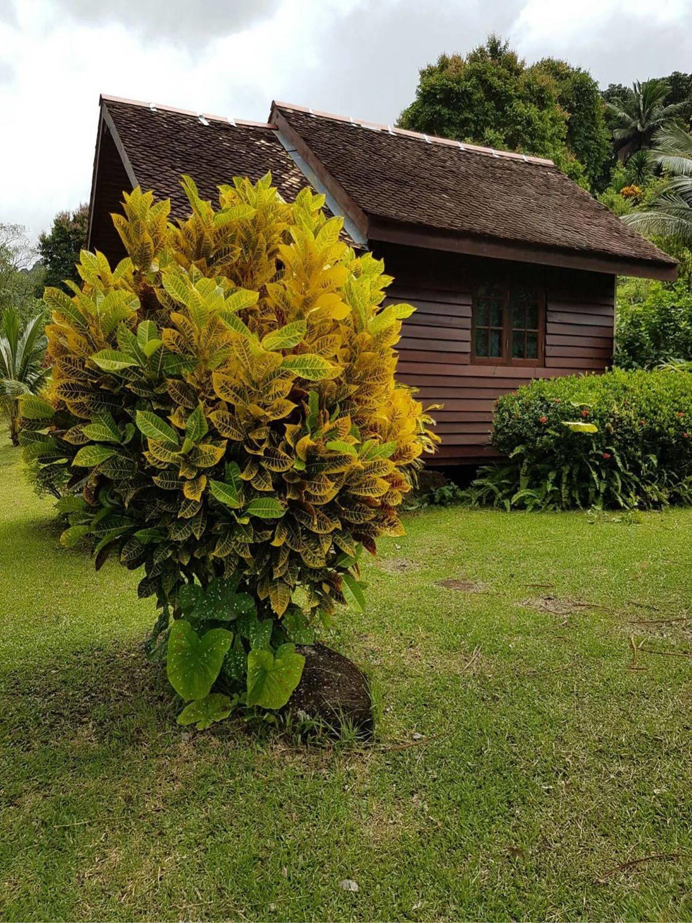 Phanom Bencha Mountain Resort Krabi town Exterior foto