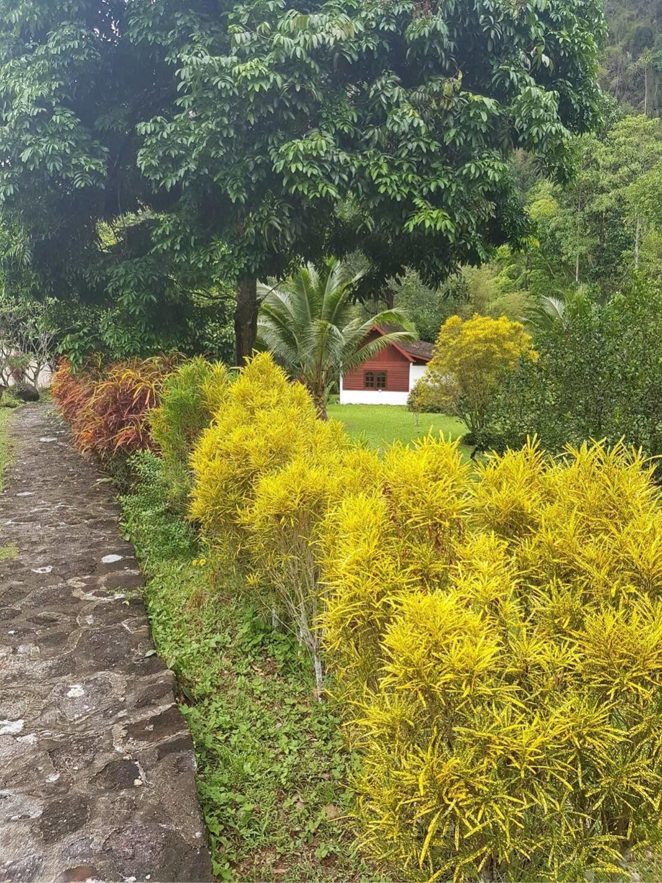 Phanom Bencha Mountain Resort Krabi town Exterior foto